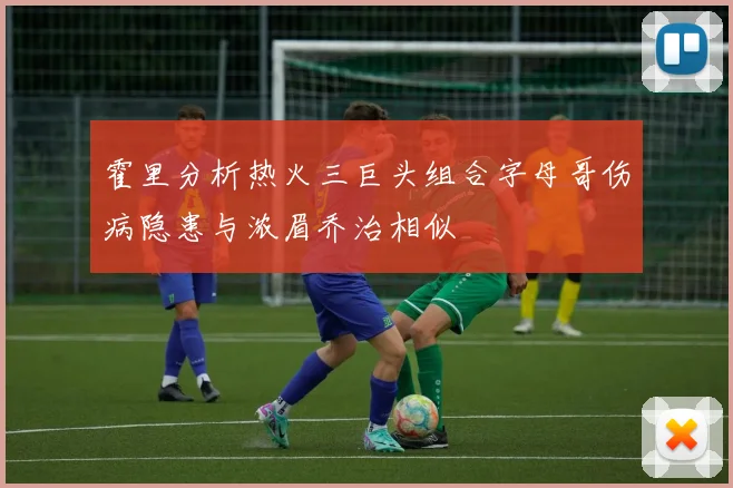 霍里分析热火三巨头组合字母哥伤病隐患与浓眉乔治相似